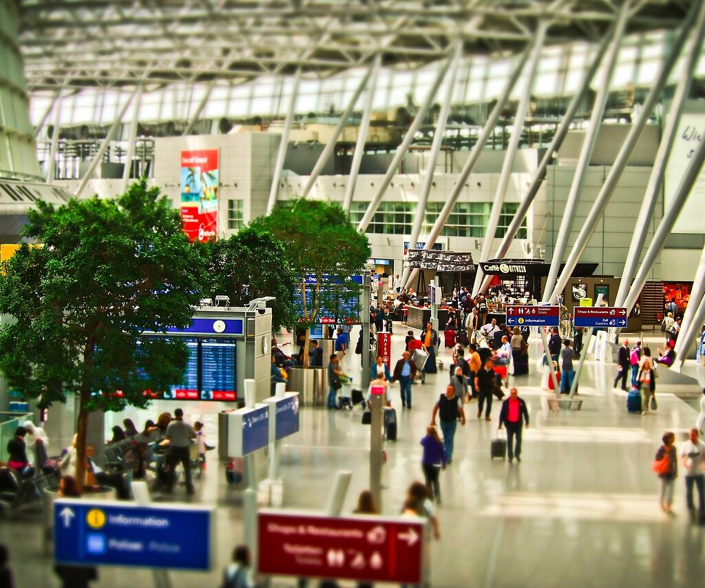 SEO For Immigration Service