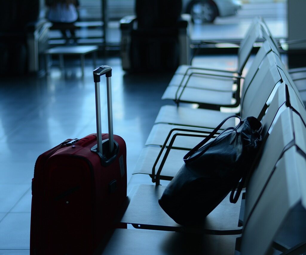 SEO For Immigration Service
