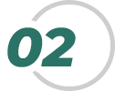 Web Analytics
