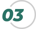 Web Analytics